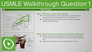 USMLE Step 1 Anatomy Question 1 Walkthrough Tutorial by DocOssareh  Lecturio [upl. by Selby671]