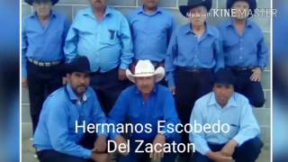 Hermanos Escobedo del zacaton el gran viaje [upl. by Harilda]