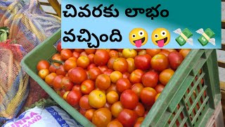 23000💸💸 రూపాయల కూరగాయలు😱😱vegetables vegetableprice vegetablerates vegetable tomato carrot yt [upl. by Lil191]