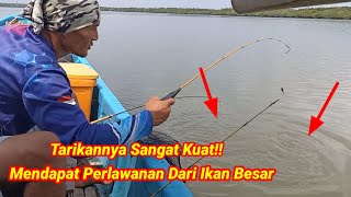 Musimnya Telah Tiba Rejeki Nomplok Panen Banyak Ikan Belanak Besar [upl. by Staal886]