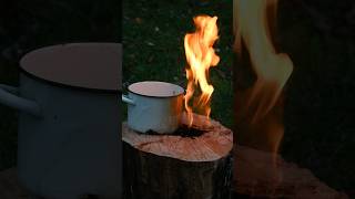 ✅ASMR Wilderness Feast Stump Cooking Experience 🌲🍽️asmr survival outdoors camping cooking [upl. by Mathew]