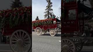 Budweiser DRAFT Horses at Rose Parade 2023 shorts [upl. by Cheadle]