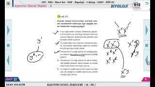 Mavi Set Biyoloji 1  Kalıtımın Genel İlkeleri  4 🔬 [upl. by Lierbag]