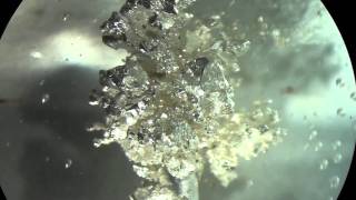 Grow Silver Metal Crystals by Electrochemistry [upl. by Anum532]