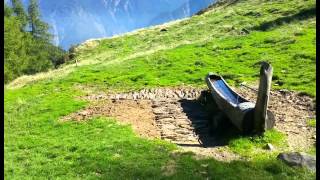 Swiss mountains Alpe di Boggio Soazza Svizzera [upl. by Nahs]