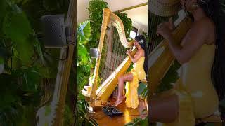 The Boy Is Mine x brandy and Monica Harp Cover foryou cover harp blackharpist [upl. by Acirederf]