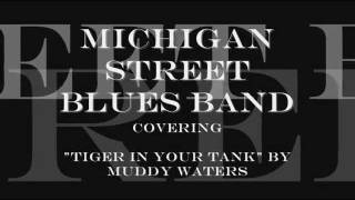 Michigan Street Blues Band cover of Muddy Waters quotTiger In Your Tankquot [upl. by Nwatna825]