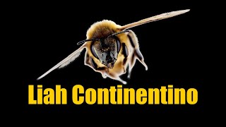 Benefits of Pollinators in our Ecosystems Interview with Liah Continentino [upl. by Richer]