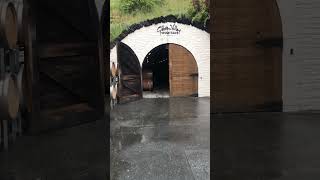 Walking into Gibbston Valley Wine Cave Queenstown New Zealand 😮 [upl. by Sawyor417]