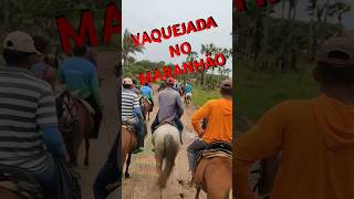 Buscando o gado no campo  Vida simples no campo 🐂 vaquejada vidanocampo fazenda vidanaroça [upl. by Neelon171]