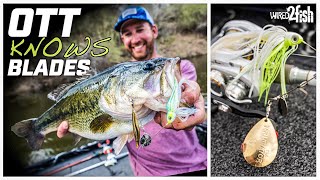 How to Choose Spinnerbaits for Bass Fishing [upl. by Irolav]