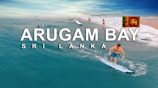 Surfing in arugambay  sri lanka [upl. by Volny]