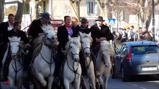 ST GENIES DE MALGOIRESFestival du Film Taurin Camarguais20170225 [upl. by Sicular262]