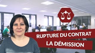 La rupture du contrat de travail  La démission  STMG Droit  digiSchool [upl. by Eirolav802]