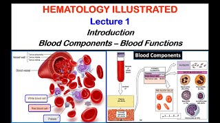 Hematology Lecture 12020 [upl. by Sirenay]