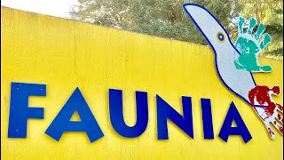 4K FAUNIA [upl. by Lundell]