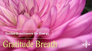 Gratitude Breath  Morning Breathwork 4 minutes [upl. by Matias]