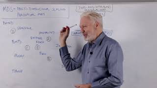 What is a MultiDimensional Scaling MDS Perceptual Map [upl. by Northrup992]