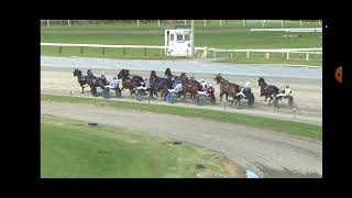 2024 Ashburton Flying Stakes [upl. by Apps]