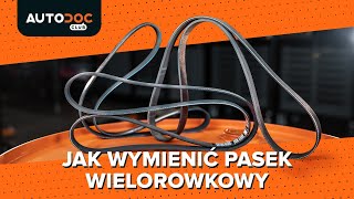 Jak wymienić pasek wielorowkowy PORADNIK AUTODOC [upl. by Aenil736]