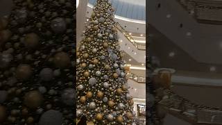 Dalma mall Abudhabi you tube shorts [upl. by Anohs]