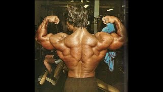 Danny Padilla  Back Workout [upl. by Nesilla20]