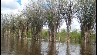 The Great Flood Ottawa Odawa Legend [upl. by Nadabas]