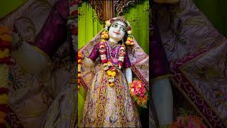 Todays Darshan  ISKCON Mayapur  viralshort viralvideo viralshorts love radhesyam krishna [upl. by Wulfe]