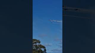 RAAF Roulettes formation [upl. by Kimberley]