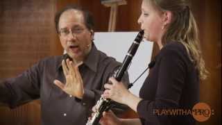 Clarinet lessons with Neidich Mozart clarinet Concerto Play With a Pro [upl. by Ari]