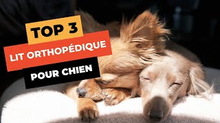 🔥 TOP 3  Meilleur Lit Orthopédique pour Chien 2023 [upl. by Latnahs]