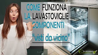 Come funziona la lavastoviglie [upl. by Eanram336]