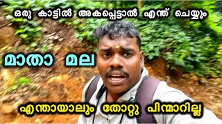 കാടിനുള്ളിൽ ഒറ്റയ്ക്ക് അകപ്പെട്ടാൽ പാമ്പിനെ കണ്ടാൽ നിങ്ങൾ എന്ത് ചെയ്യും  Thiruvananthapuram place [upl. by Hallsy]