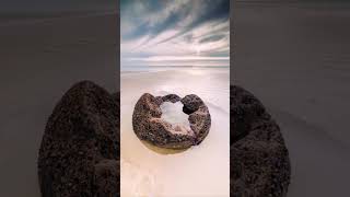 An almost alien sight Moeraki Boulders New Zealand travelling travelblogger newzealand [upl. by Notsek236]