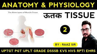 ऊतक Tissue  Anatomy amp Physiology Theory Class 2  Physical Education Online Class in Hindi [upl. by Tevis]