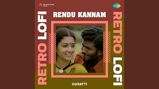 Rendu Kannam  Retro Lofi [upl. by Enilaf170]