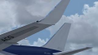 LevelD 767  Winglets [upl. by Devaney]