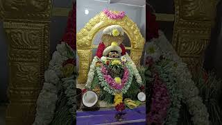 Pradosham Poojapradosham templepichai pathiram song [upl. by Volotta]