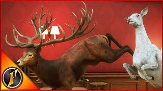 Red Deer Guide  theHunter Call of the Wild [upl. by Lertnahs]