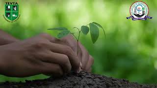 Tree Plantation Drive and Beatification of Institute at Govt College of Technology Bhakkar [upl. by Priest]