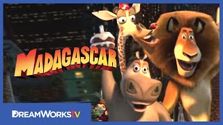 madagascar 3 CLIP quotAND THENquot [upl. by Esiuole]