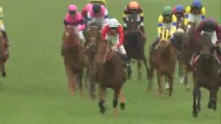 長谷川豊アナの競馬実況 2007年 フローラステークス ベッラレイア [upl. by Schilling873]