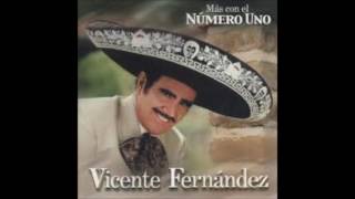 NOS ESTORBO LA ROPA  VICENTE FERNANDEZ FULL AUDIO [upl. by Toiboid]