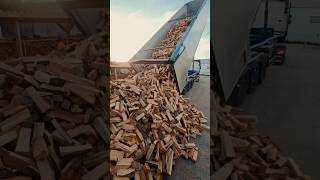 🪵🫣 Dosť bude firewood brennholz wood palivovedrevo beechwood truck dumptruck [upl. by Ahsenyl67]