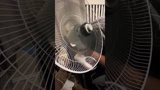 Comfort zone Pelonis wall Fan with new blade [upl. by Lunette]