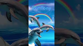 Symfony [upl. by Keithley]