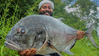 Giant Trevally Pickle  Fish Pickle Recipe  Easy Kerala Style Vatta Meen Achar  Fish Cutting Skill [upl. by Anhcar110]