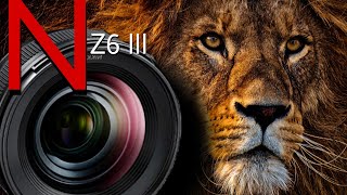 Introducing  The New Nikon Z6 III  Official Trailer  nikon [upl. by Civ]