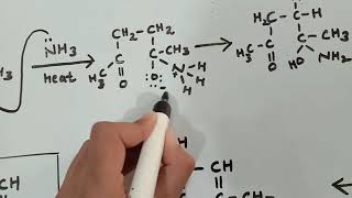 PaalKnorr Synthesis Preparation of Pyrrole derivatives from 14 dicarbonyl compounds [upl. by Cianca184]