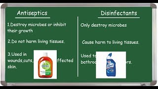 Antiseptic Vs Disinfectant differences English [upl. by Antin990]